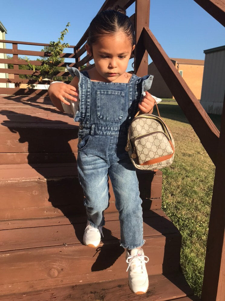 Kingston Denim Jumper